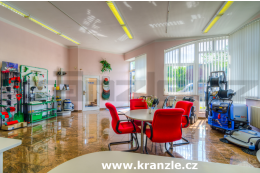 Kvalitní wapky Kränzle, Oertzen, DenJet - Centrála Kränzle ČR Karlovy Vary